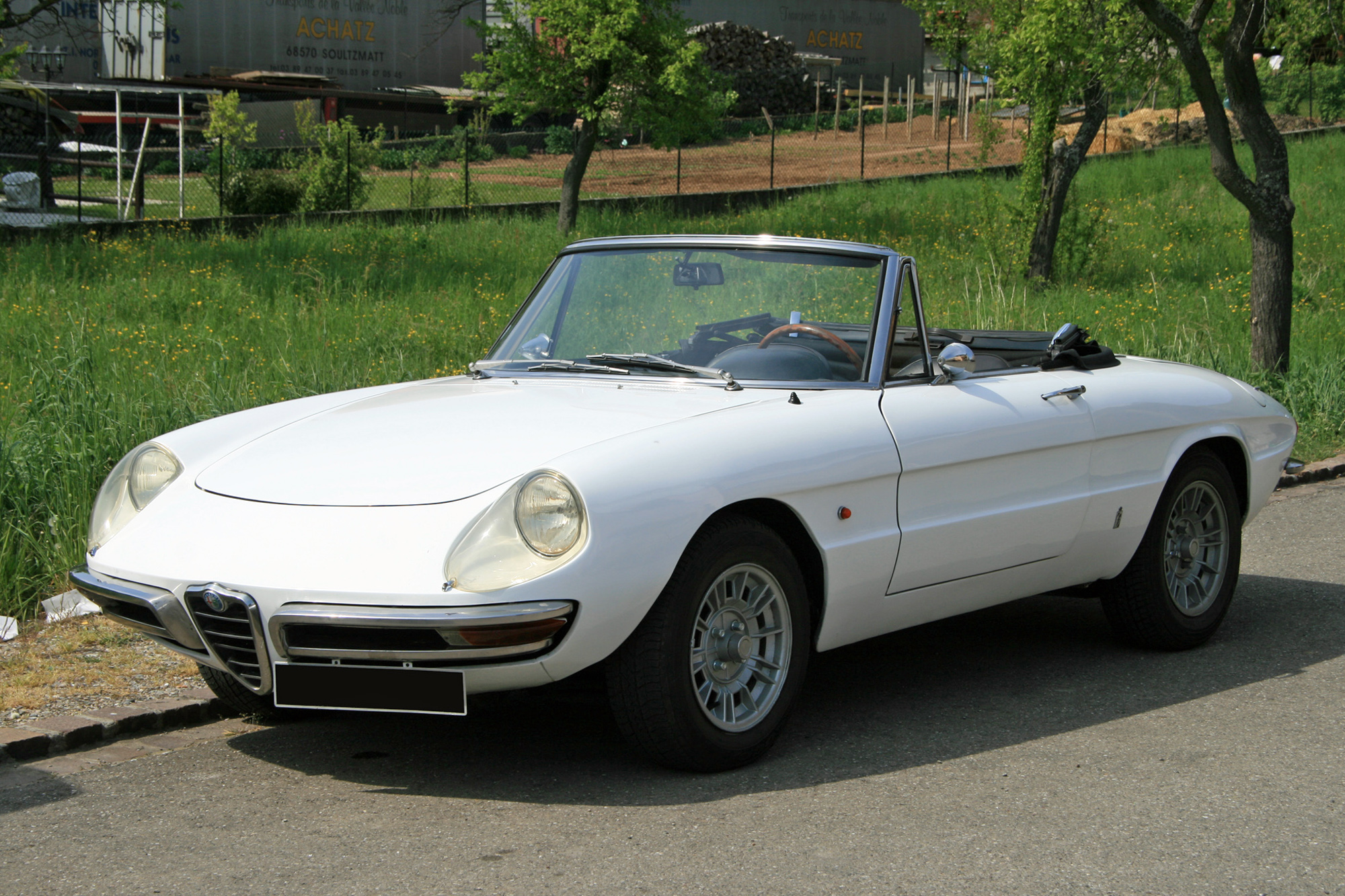 Alfa Romeo  Spider Duetto