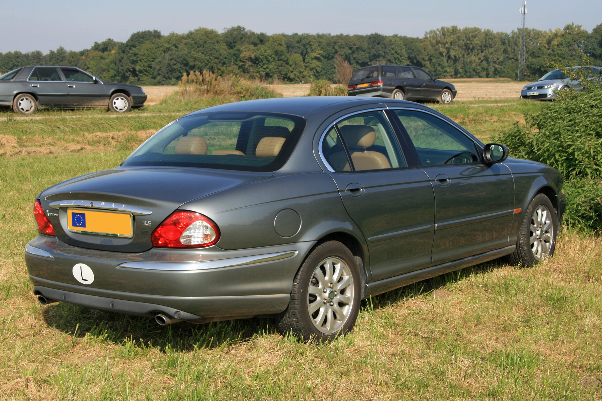 Jaguar X type