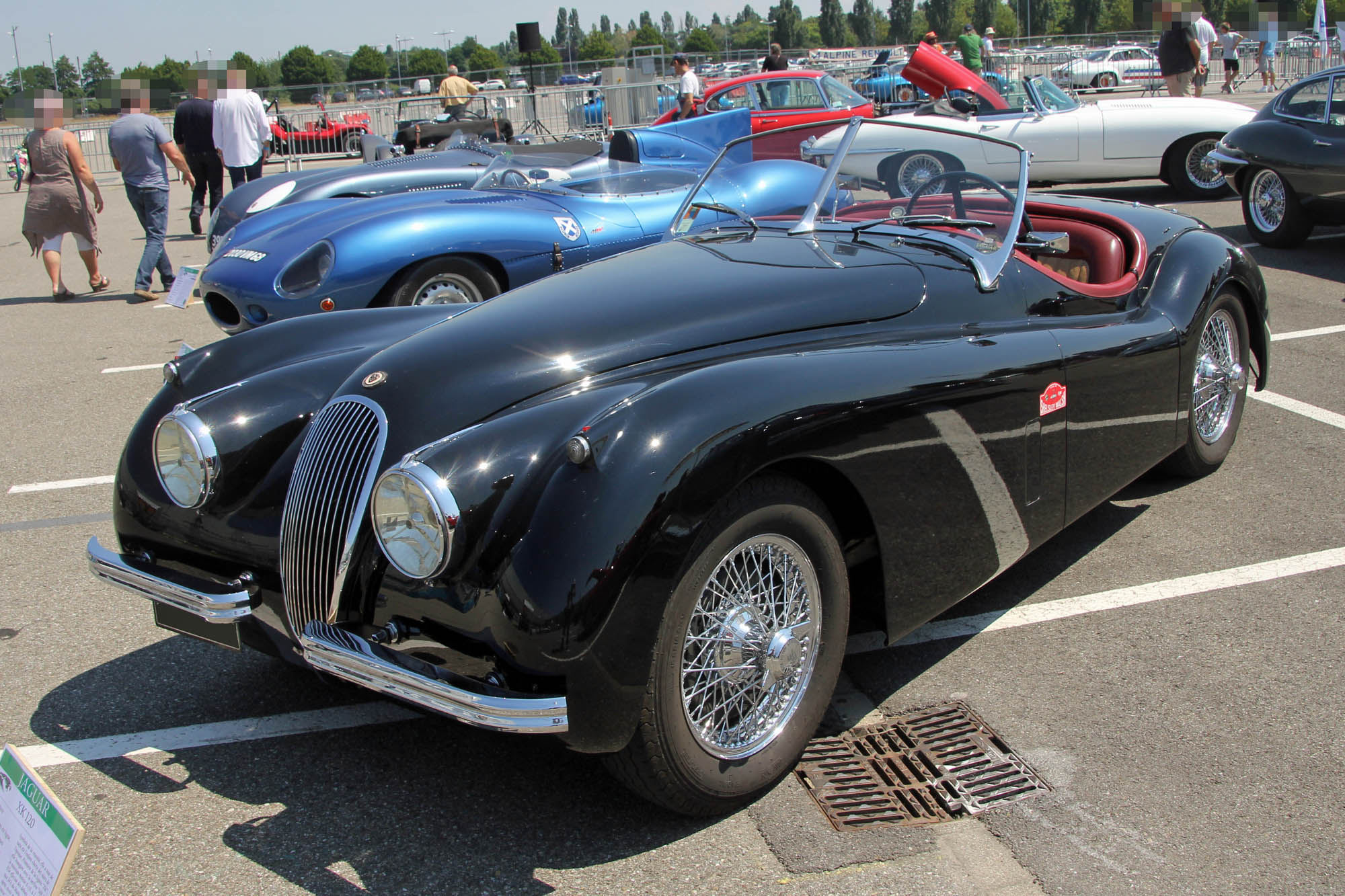Jaguar XK 120