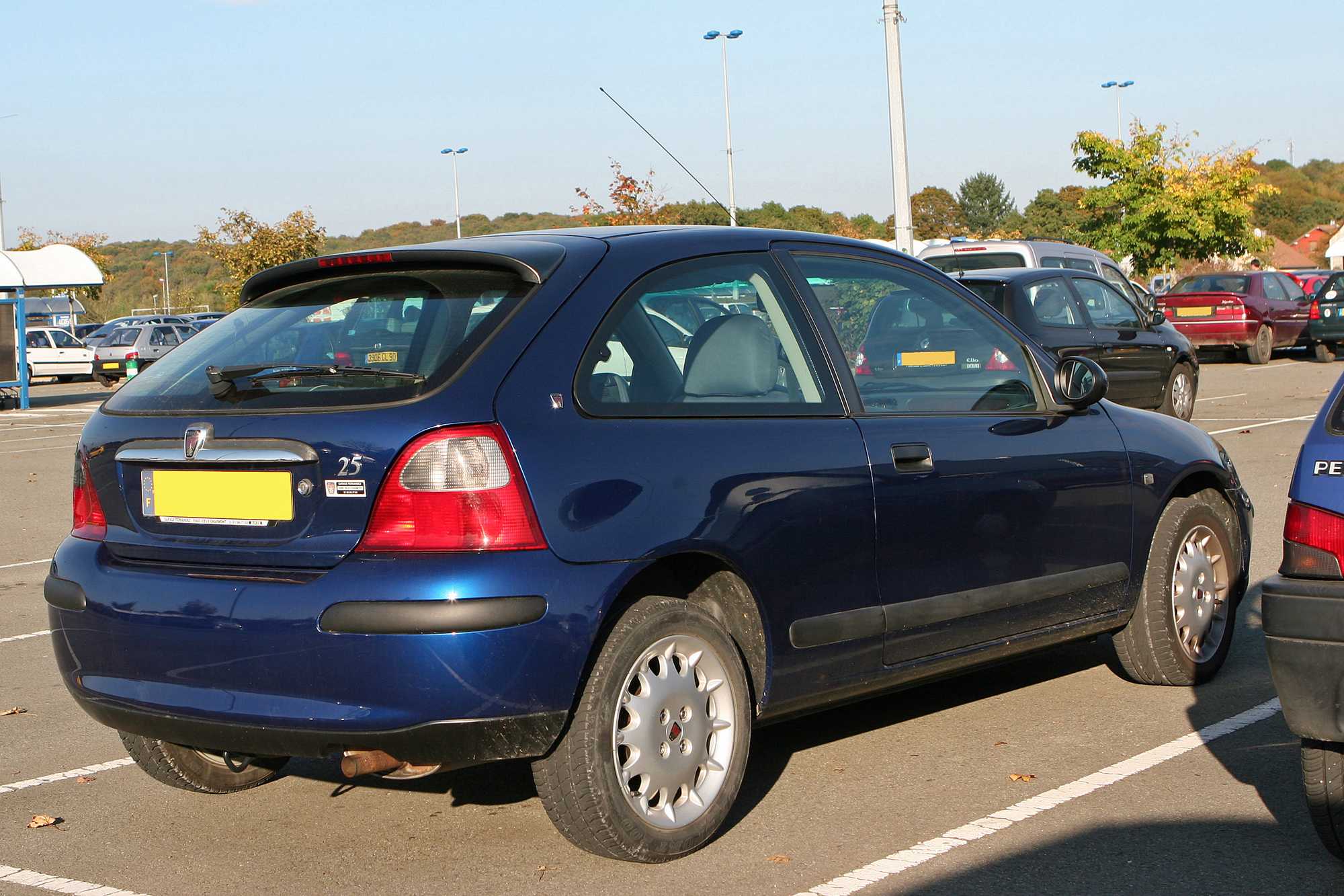 Rover 25
