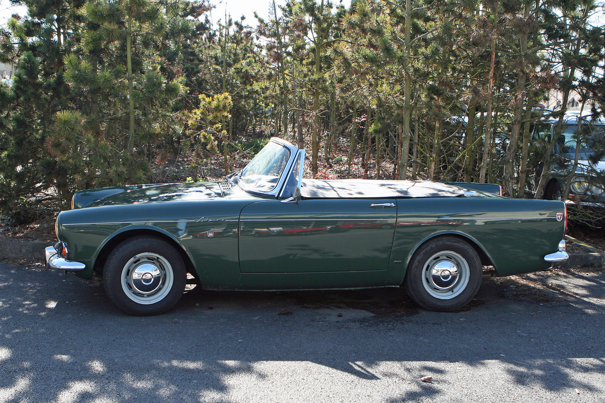 Sunbeam Tiger