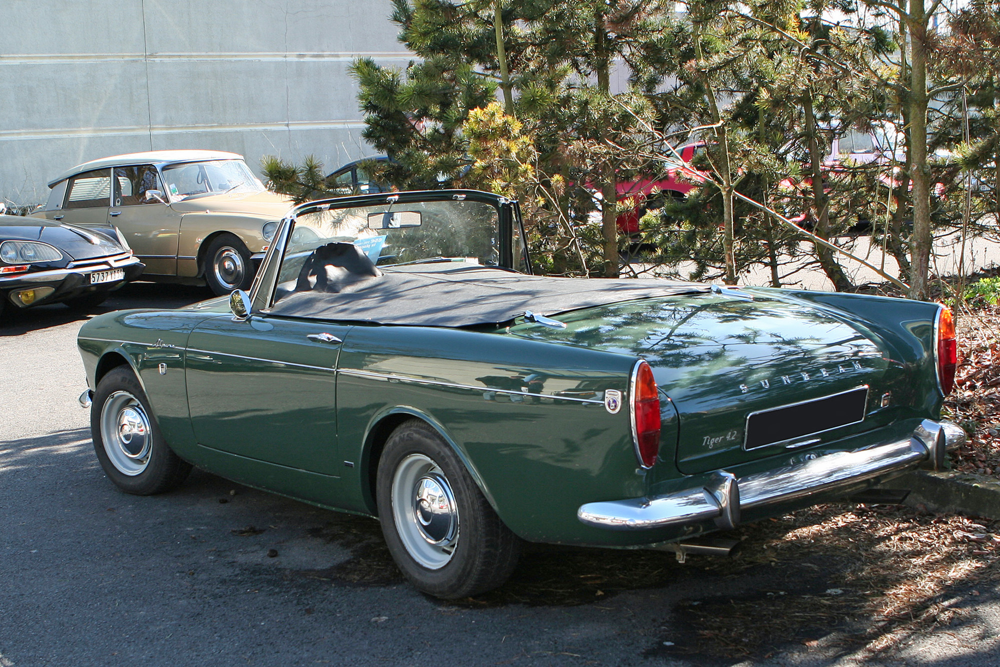 Sunbeam Tiger