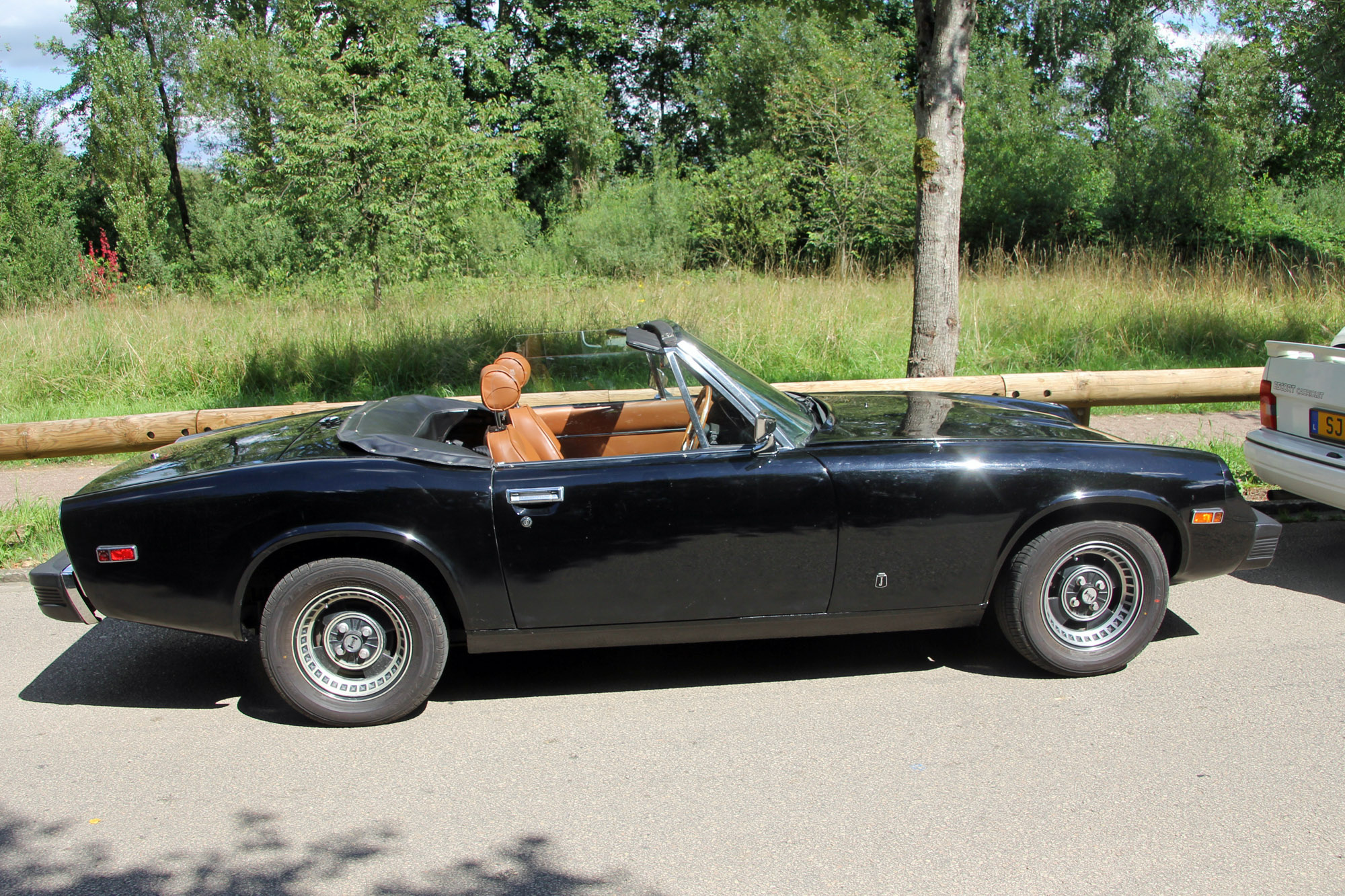 Jensen Healey