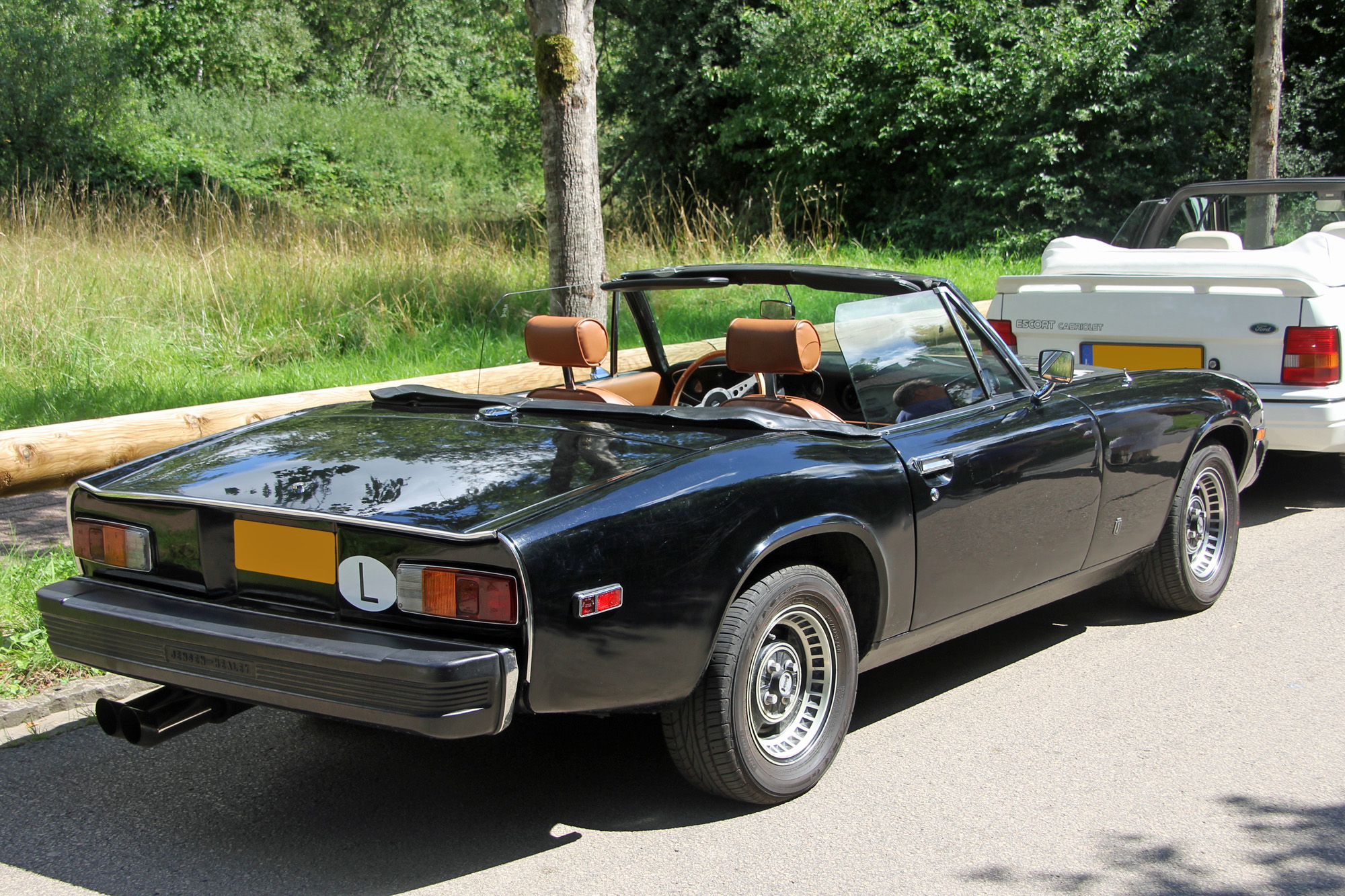 Jensen Healey