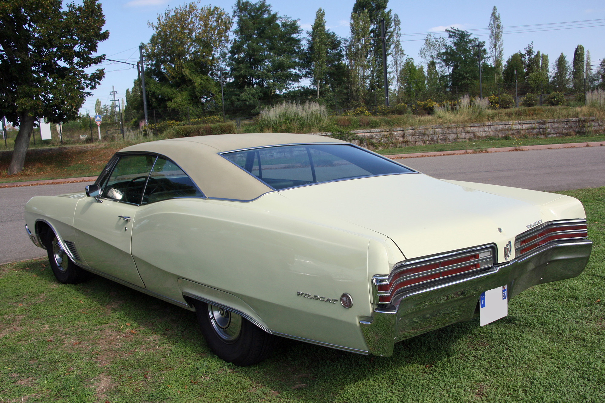 Buick Wildcat 2