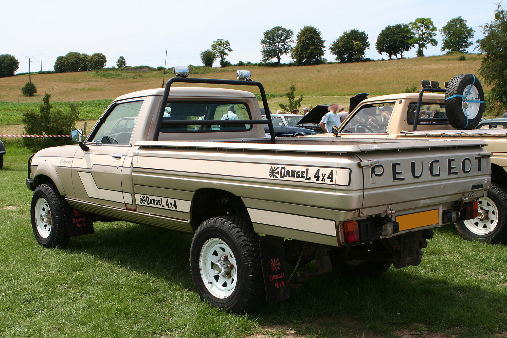 Peugeot 504 Dangel