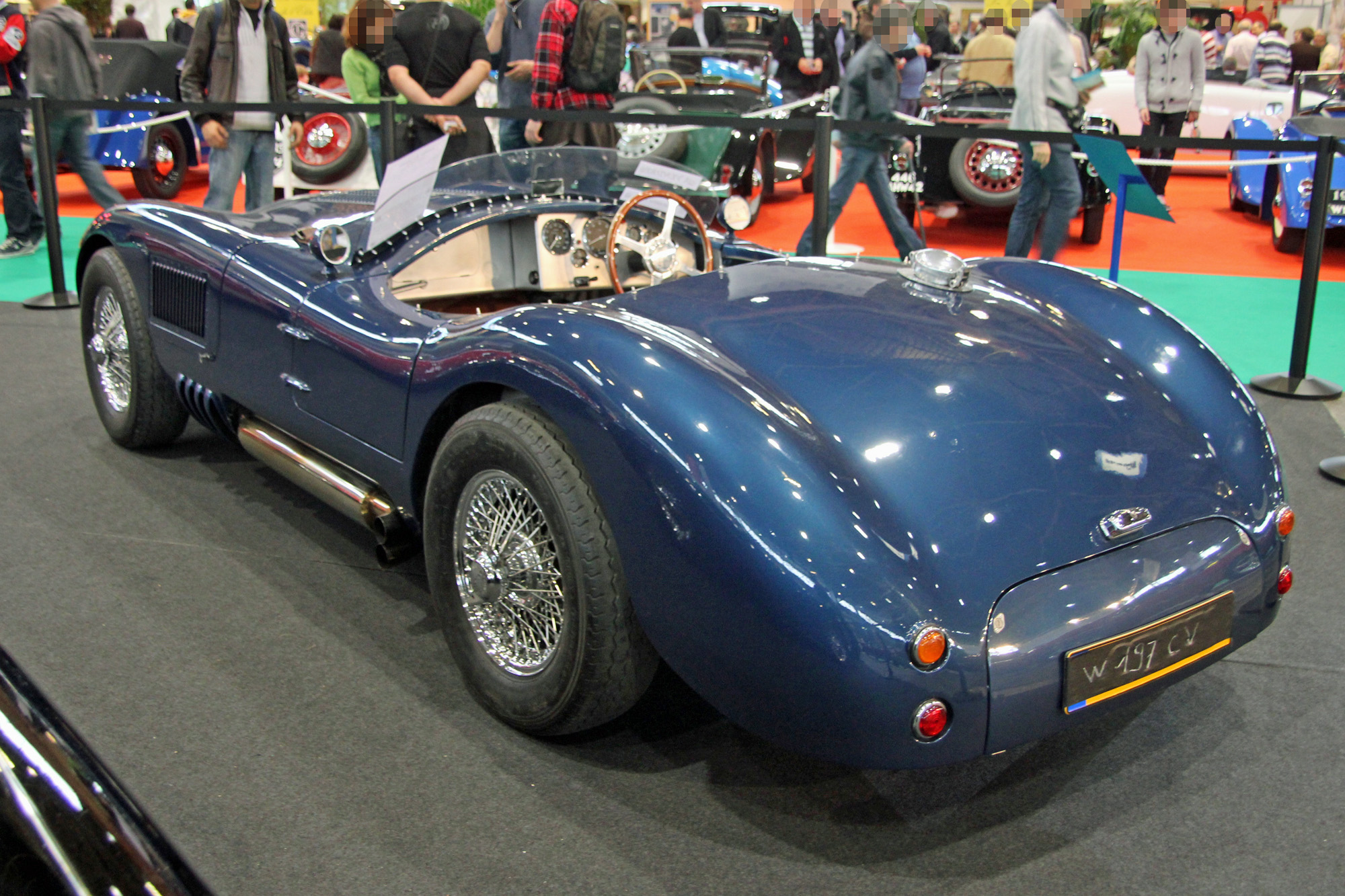 Jaguar Type C Proteus