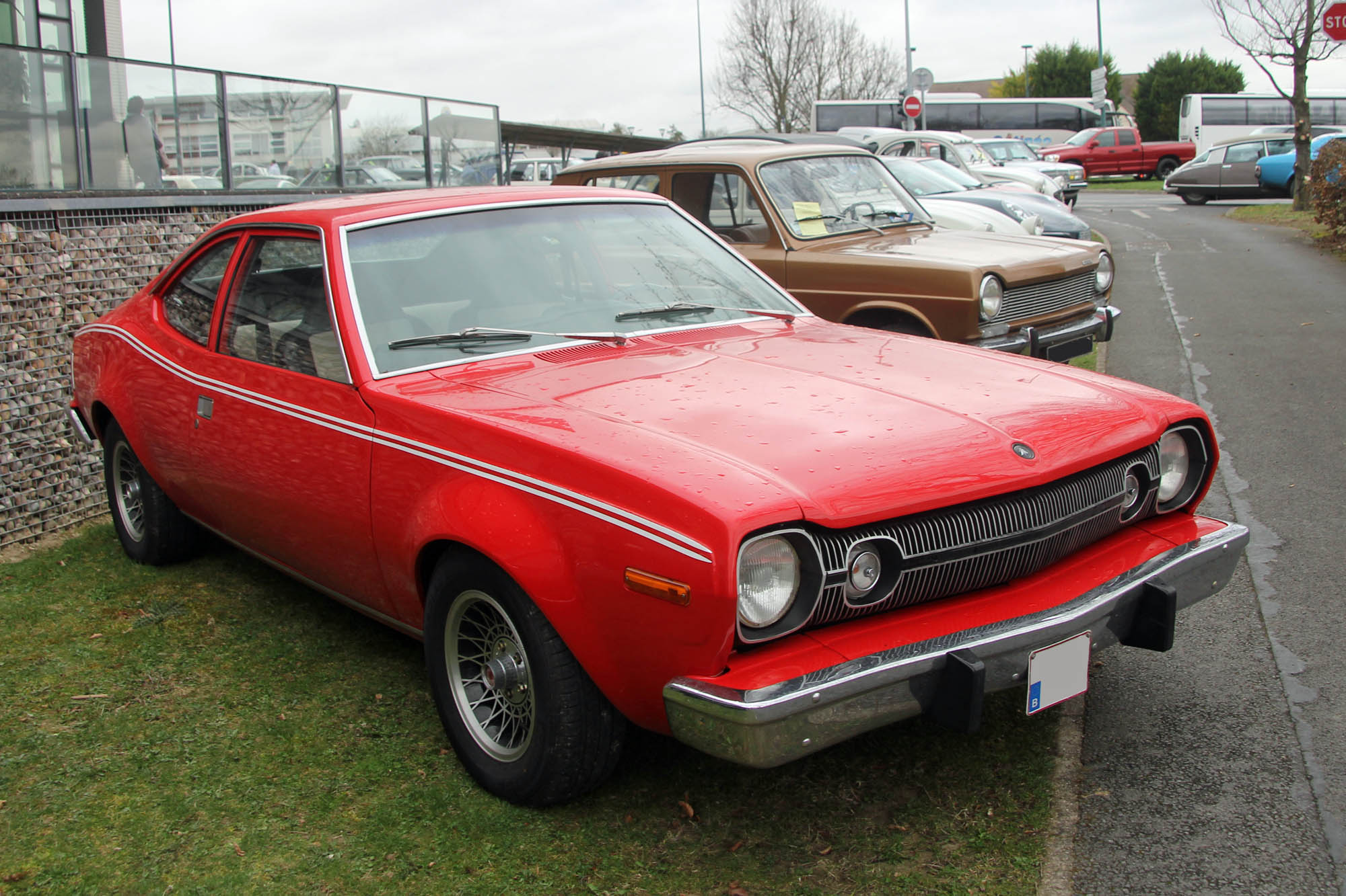 Amc Hornet