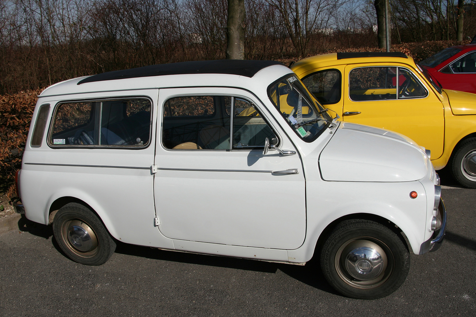 Fiat 500 Jardinière